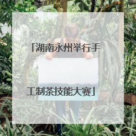 湖南永州举行手工制茶技能大赛