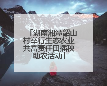 湖南湘潭韶山村举行生态农业共富责任田插秧助农活动