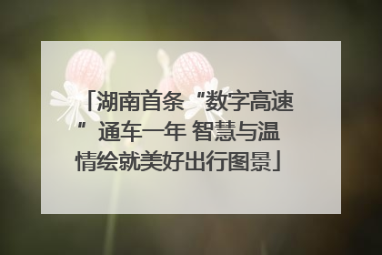 湖南首条“数字高速”通车一年 智慧与温情绘就美好出行图景