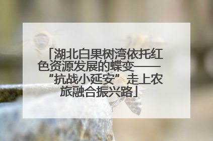 湖北白果树湾依托红色资源发展的蝶变——“抗战小延安”走上农旅融合振兴路