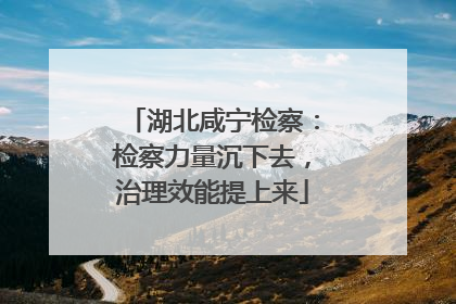 湖北咸宁检察：检察力量沉下去，治理效能提上来