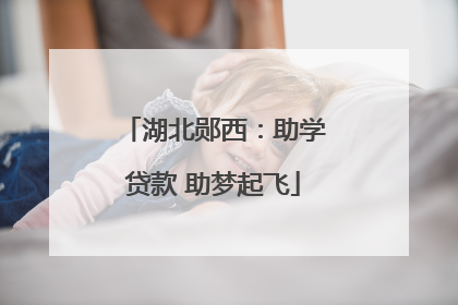 湖北郧西：助学贷款 助梦起飞