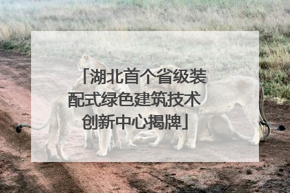 湖北首个省级装配式绿色建筑技术创新中心揭牌