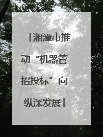 湘潭市推动“机器管招投标”向纵深发展