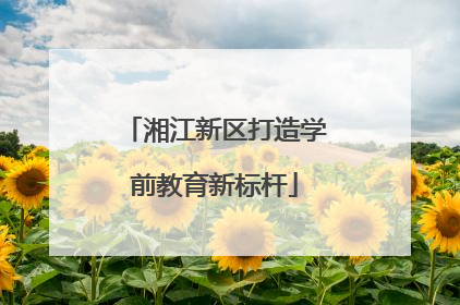 湘江新区打造学前教育新标杆