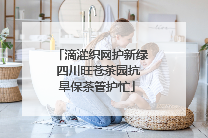 滴灌织网护新绿 四川旺苍茶园抗旱保茶管护忙