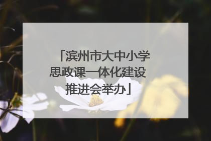 滨州市大中小学思政课一体化建设推进会举办