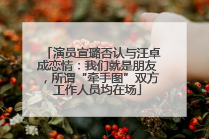 演员宣璐否认与汪卓成恋情：我们就是朋友，所谓“牵手图”双方工作人员均在场