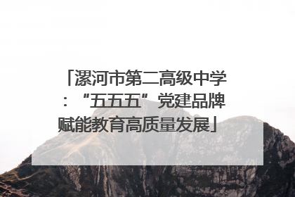 漯河市第二高级中学：“五五五”党建品牌赋能教育高质量发展