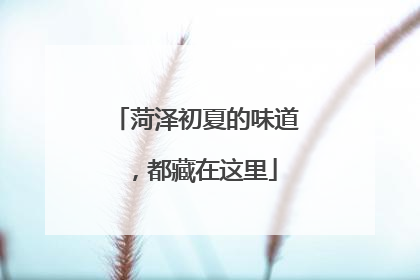 菏泽初夏的味道，都藏在这里