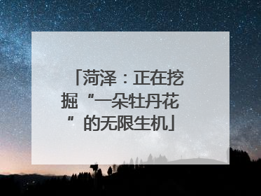 菏泽：正在挖掘“一朵牡丹花”的无限生机