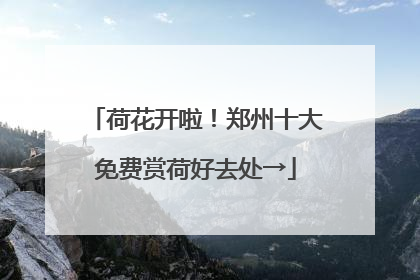 荷花开啦！郑州十大免费赏荷好去处→