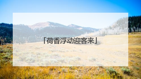 荷香浮动迎客来