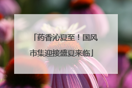 药香沁夏至！国风市集迎接盛夏来临