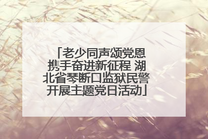 老少同声颂党恩 携手奋进新征程 湖北省琴断口监狱民警开展主题党日活动