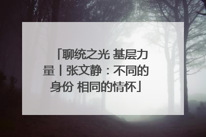 聊统之光 基层力量丨张文静：不同的身份 相同的情怀