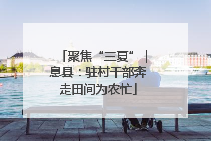 聚焦“三夏”｜息县：驻村干部奔走田间为农忙