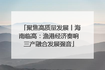 聚焦高质量发展丨海南临高：渔港经济奏响三产融合发展强音