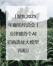 聚焦2025年廊坊经洽会丨京津冀首个AI招商选址大模型亮相