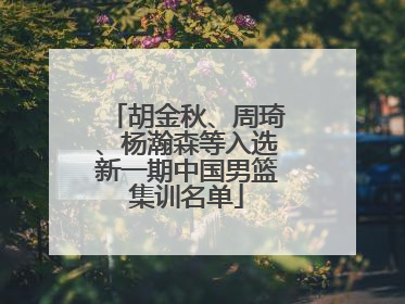 胡金秋、周琦、杨瀚森等入选新一期中国男篮集训名单