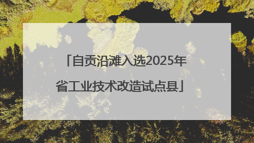 自贡沿滩入选2025年省工业技术改造试点县