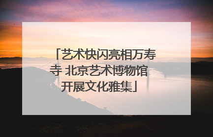 艺术快闪亮相万寿寺 北京艺术博物馆开展文化雅集