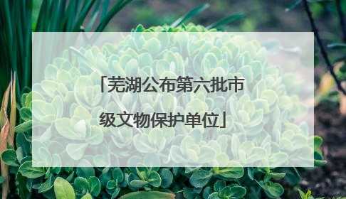 芜湖公布第六批市级文物保护单位