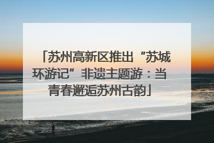苏州高新区推出“苏城环游记”非遗主题游：当青春邂逅苏州古韵