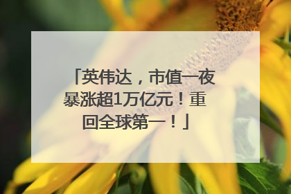 英伟达，市值一夜暴涨超1万亿元！重回全球第一！