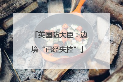 英国防大臣：边境“已经失控”
