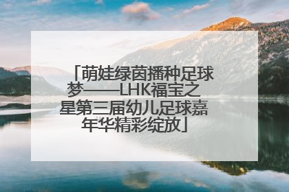 萌娃绿茵播种足球梦——LHK福宝之星第三届幼儿足球嘉年华精彩绽放