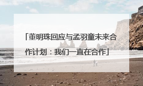 董明珠回应与孟羽童未来合作计划：我们一直在合作