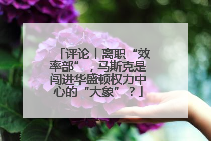 评论丨离职“效率部”，马斯克是闯进华盛顿权力中心的“大象”？