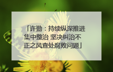 许勤：持续纵深推进集中整治 坚决纠治不正之风查处腐败问题