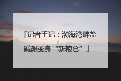 记者手记：渤海湾畔盐碱滩变身“新粮仓”