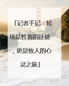 记者手记：转场是牲畜的迁徙，更是牧人的心灵之旅