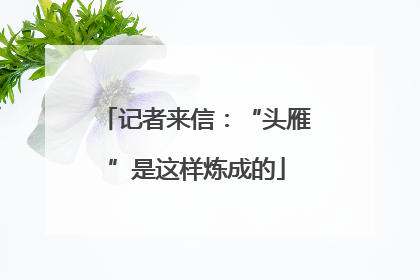 记者来信：“头雁”是这样炼成的