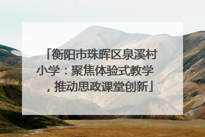 衡阳市珠晖区泉溪村小学：聚焦体验式教学，推动思政课堂创新
