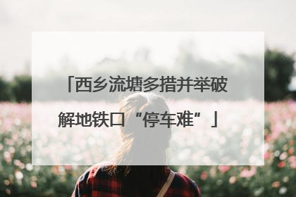 西乡流塘多措并举破解地铁口“停车难”