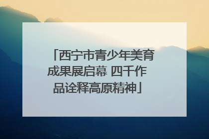 西宁市青少年美育成果展启幕 四千作品诠释高原精神
