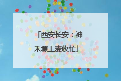 西安长安：神禾塬上麦收忙