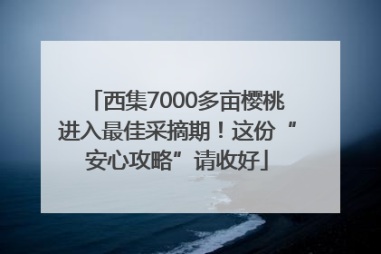 西集7000多亩樱桃进入最佳采摘期！这份“安心攻略”请收好