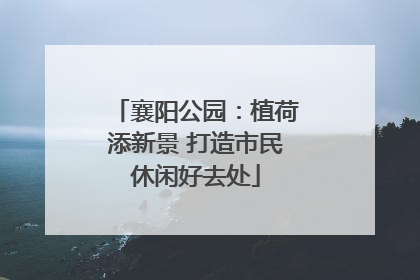 襄阳公园：植荷添新景 打造市民休闲好去处