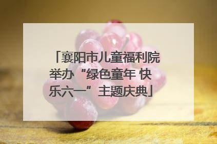 襄阳市儿童福利院举办“绿色童年 快乐六一”主题庆典