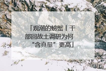 观潮的螃蟹丨干部回故土调研为何“含真量”更高