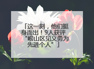 这一刻，他们挺身而出！9人获评“崂山区见义勇为先进个人”