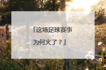 这场足球赛事为何火了？