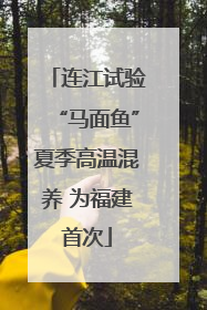 连江试验“马面鱼”夏季高温混养 为福建首次