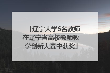 辽宁大学6名教师在辽宁省高校教师教学创新大赛中获奖