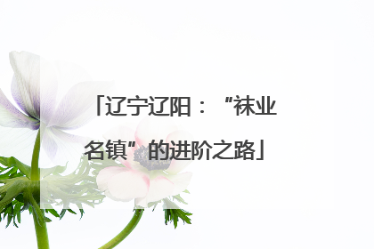 辽宁辽阳：“袜业名镇”的进阶之路